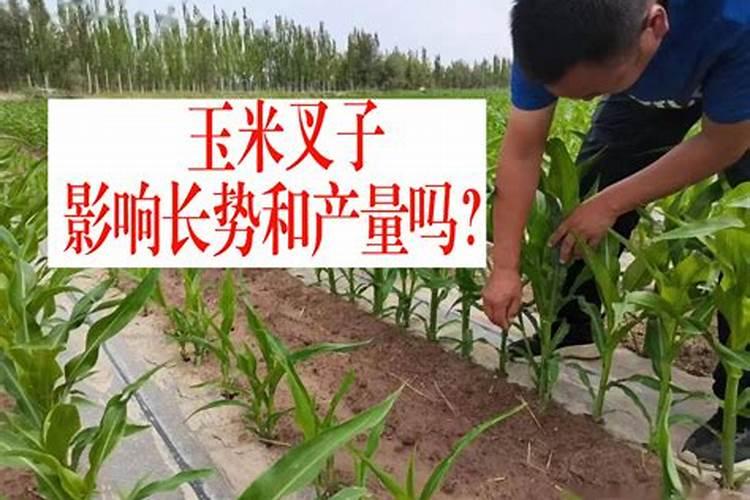 云南开磷化肥有限公司怎么样？