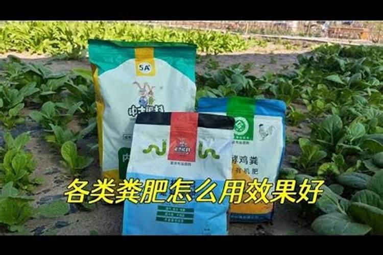 山楂树应该怎样伺候,才能结果又大、芯又不长虫？