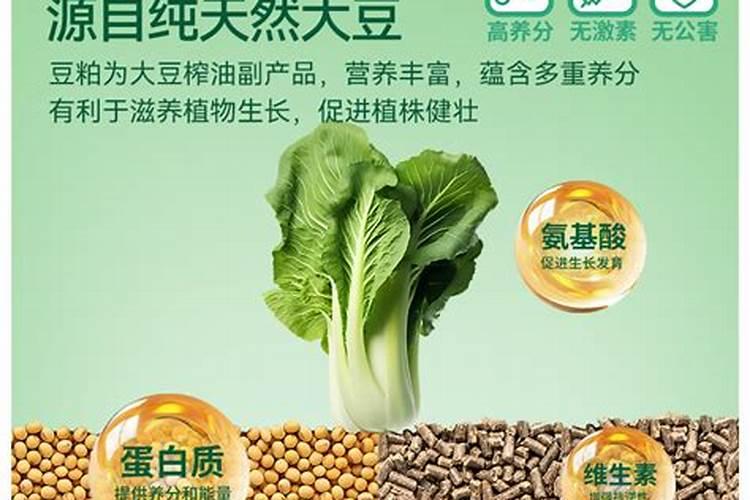 蓝莓怎样科学施肥