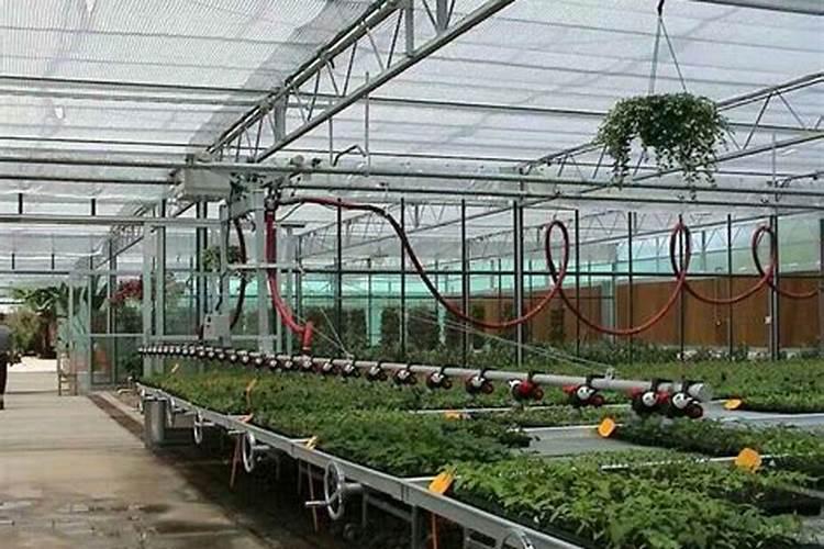 大棚草莓施肥方案,什么时候施肥