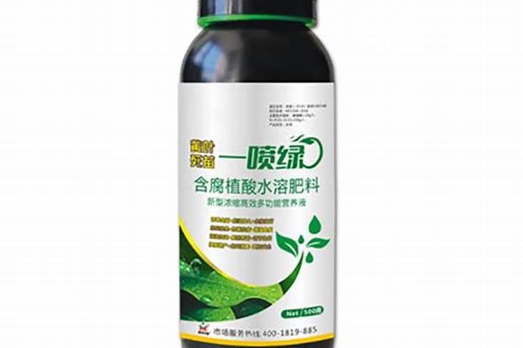 立枯病用什么药？是浇根还是喷施