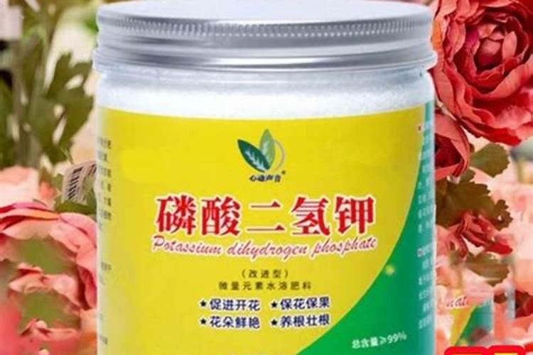 开花需要磷肥还是钾肥