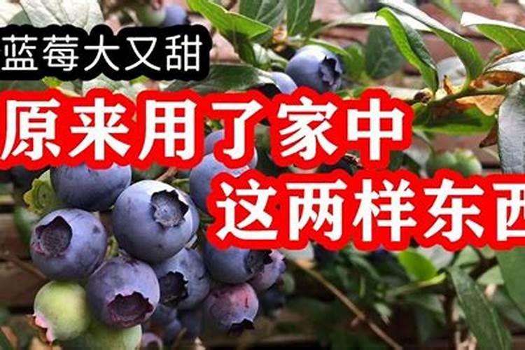 肥料增效剂一般有哪些