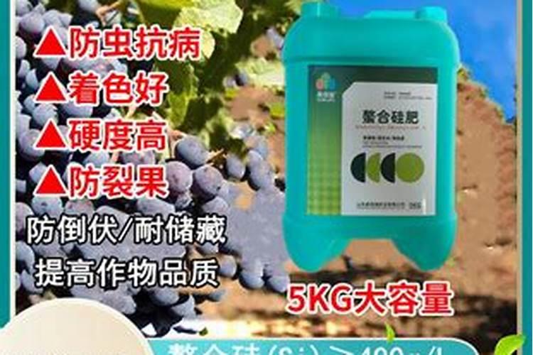 雅苒叶面肥都有那几种