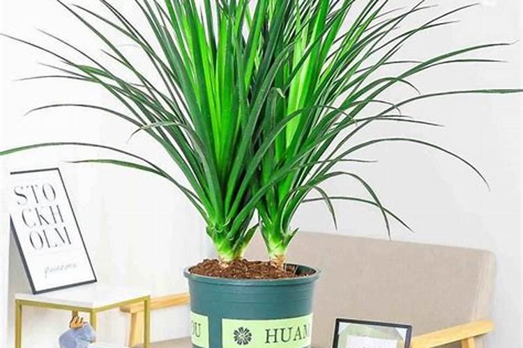 生物农药都有哪些剂型？