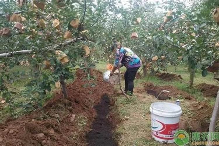 摆摊卖咖喱鱼蛋怎么做