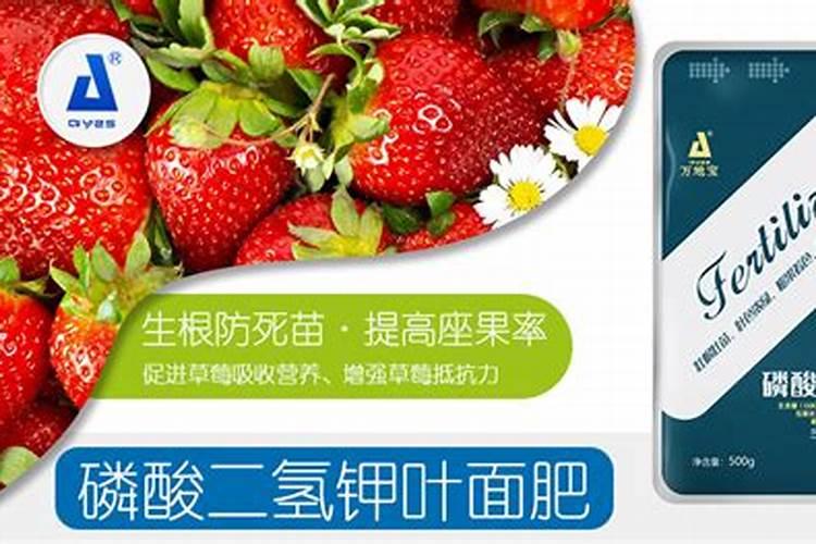 油菜苗什么时候浇肥最好