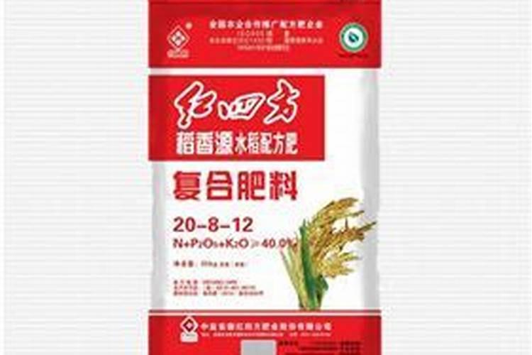 多肉修根后怎样晾根上盆？