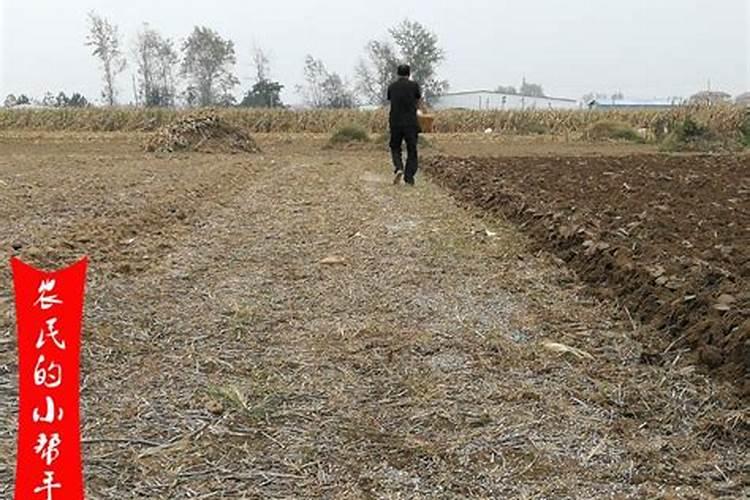 一亩红薯用多少复合肥,施什么肥料好