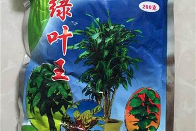 花草树木什么时候施肥最好