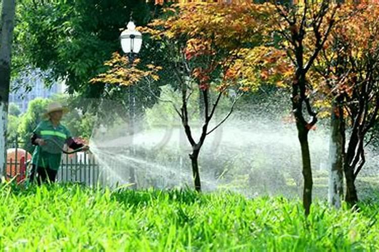 花草什么时候施肥最好