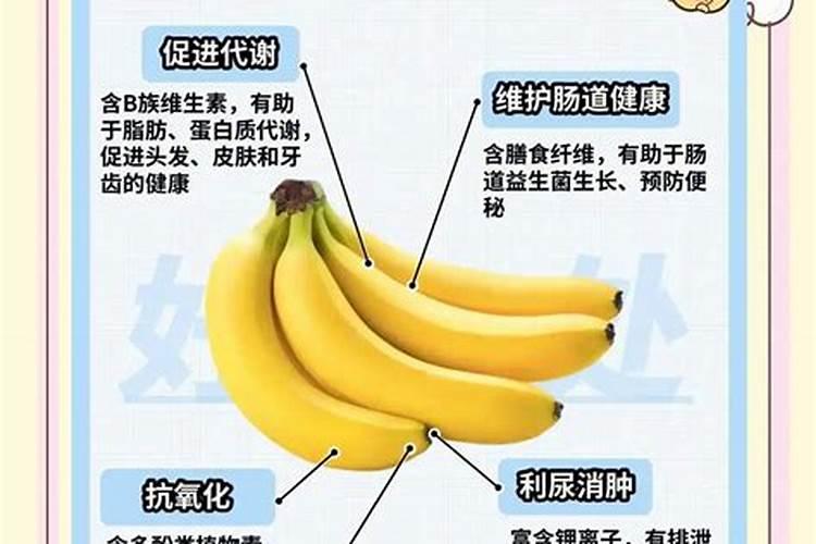 香蕉怎么种植全过程