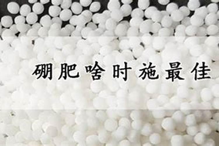 葡萄叶面硼肥盛花期能喷吗