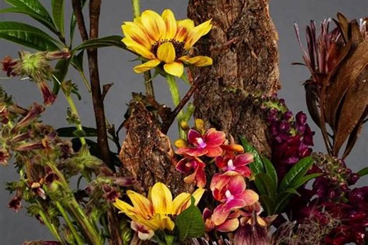 木本植物怎么施肥