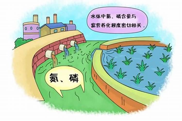 大量元素水溶肥种类繁多,你真的全都了解吗？