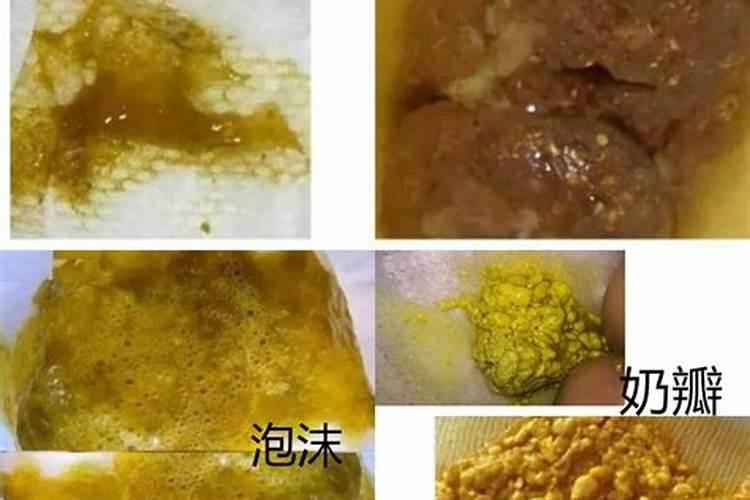 柑橘开春用什么肥料
