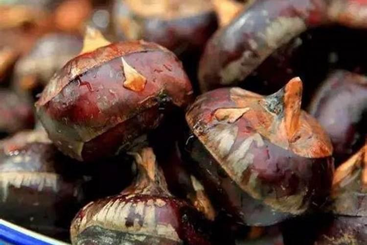 马蹄施什么肥好