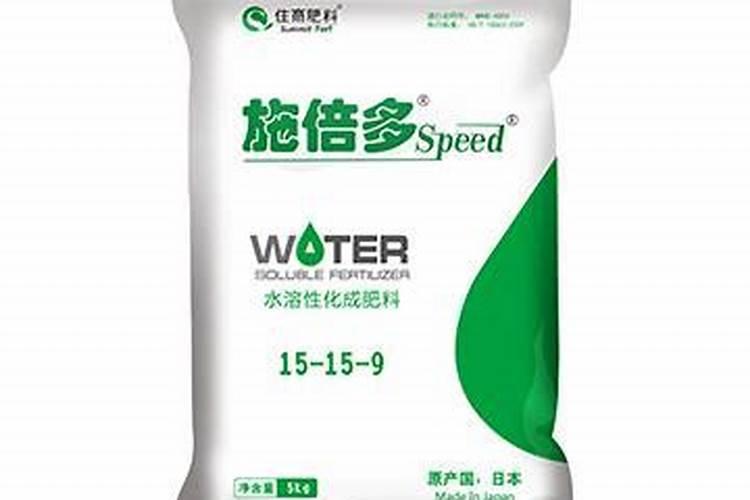 丝瓜最好的三个品种