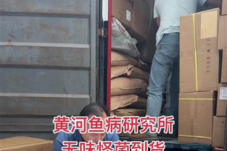 掺混肥十大排名