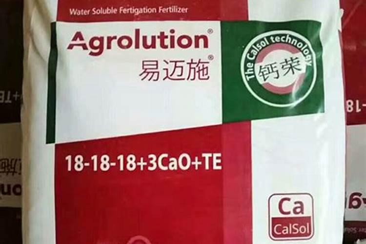 鱼为什么在黑暗的环境下鱼鳞会变白
