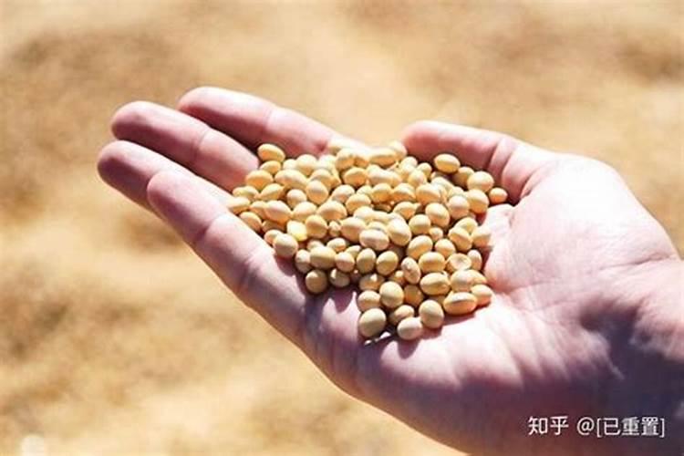 塑料袋子装的油饼花肥怎么使用？
