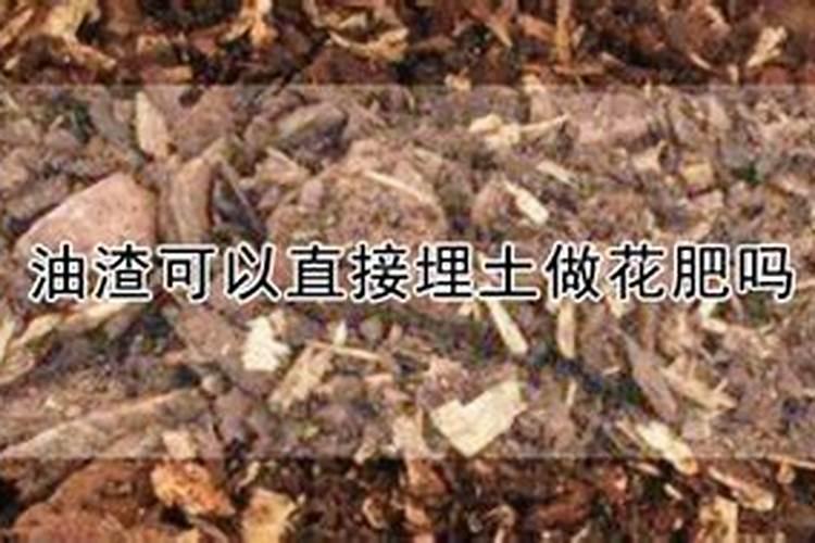 香蕉皮剪碎能直接埋入花盆吗