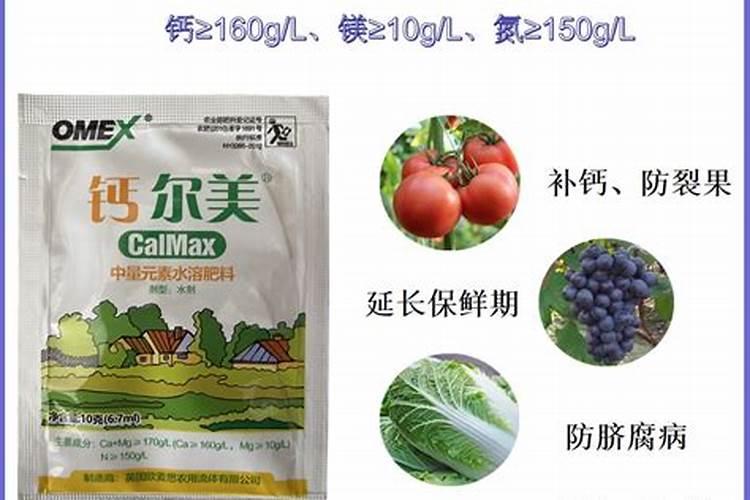 甜瓜的籽能吃吗