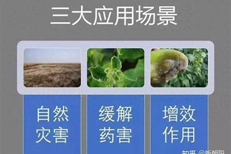 芸苔素能解肥害