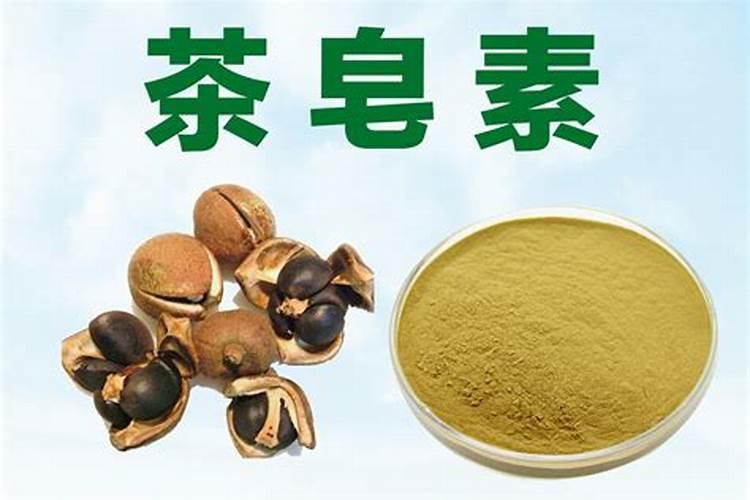 冰淇淋粉可不可以化水做肥？