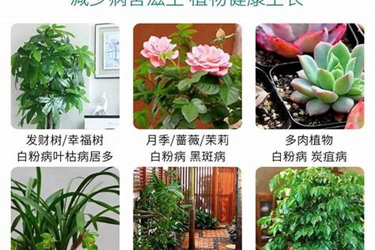 百菌清 多菌灵 甲维高氯 中量元素水溶肥能混合喷甘蔗吗