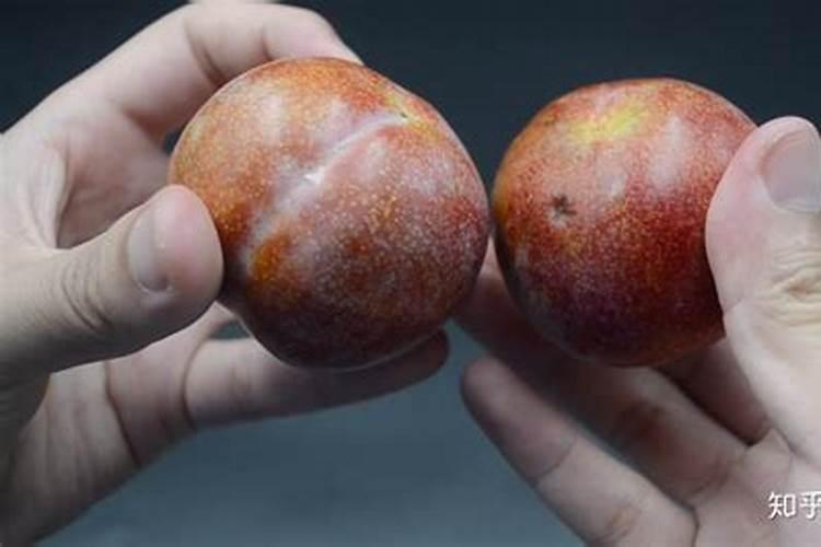 齐橙作品顺序？