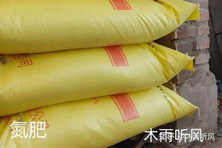 温度低稻苗什么时候浇苗最佳？