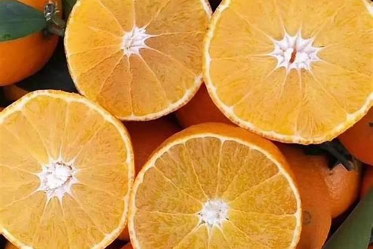 效果好的水溶肥是哪家