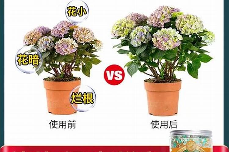 氮肥养花一克用多少水兑