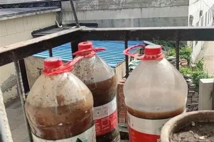 复合肥加水能当营养液使用吗