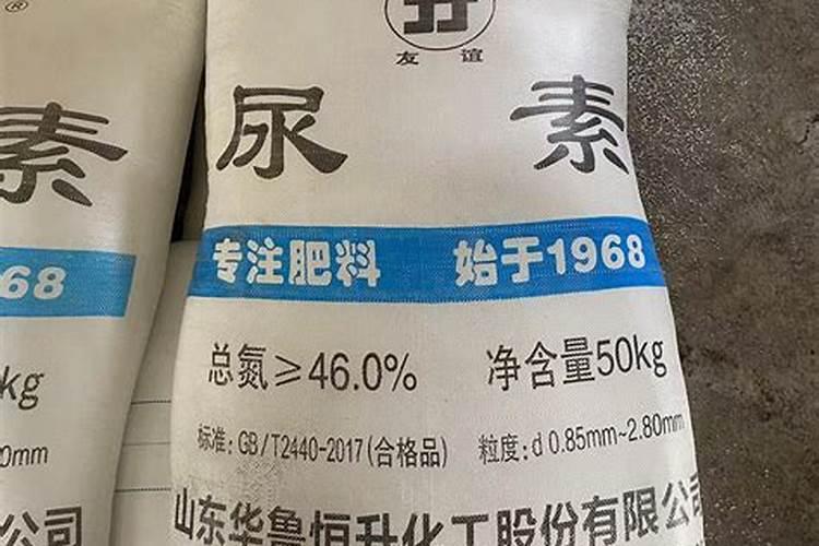 小叶栀子怎么修剪更美观？学会这几招就能让你的栀子花美丽可人!