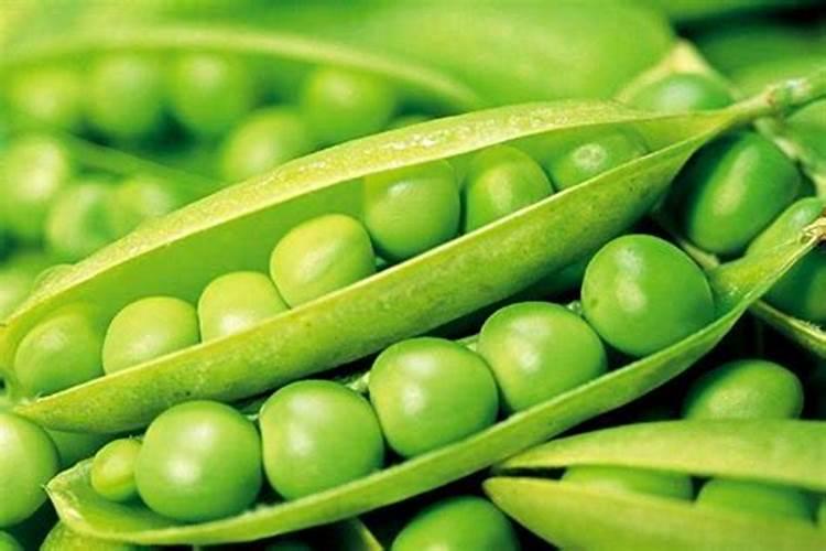 种豌豆用什么肥料最好