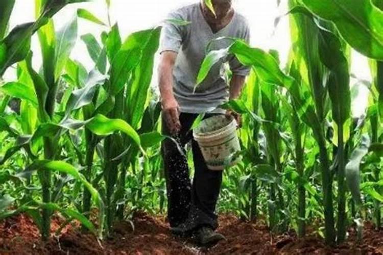 高钾大量元素水溶肥哪个牌子的比较好,