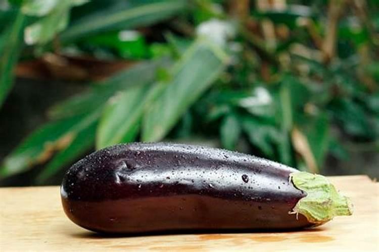 茄子用什么肥料高产 茄子施肥的注意事项