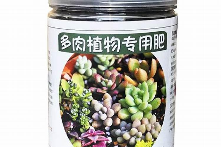 颗粒肥料给多肉怎么用