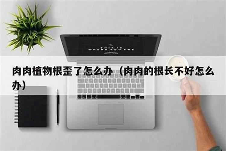 什么肥料能促长植物的根