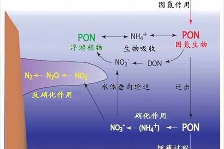 蓝藻爆发的原因及危害