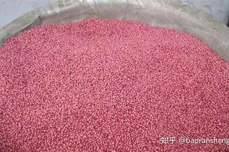 兰花用肥最简单方法