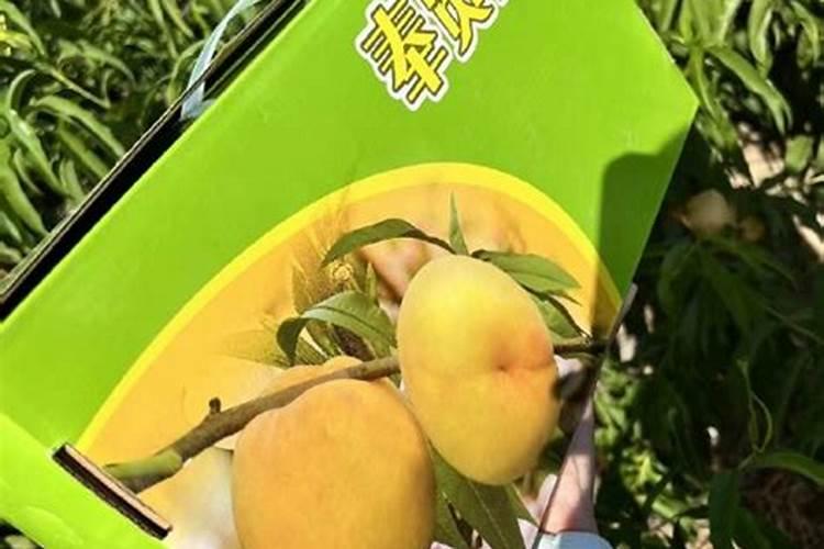 颗粒有机肥的品质好坏怎么区分