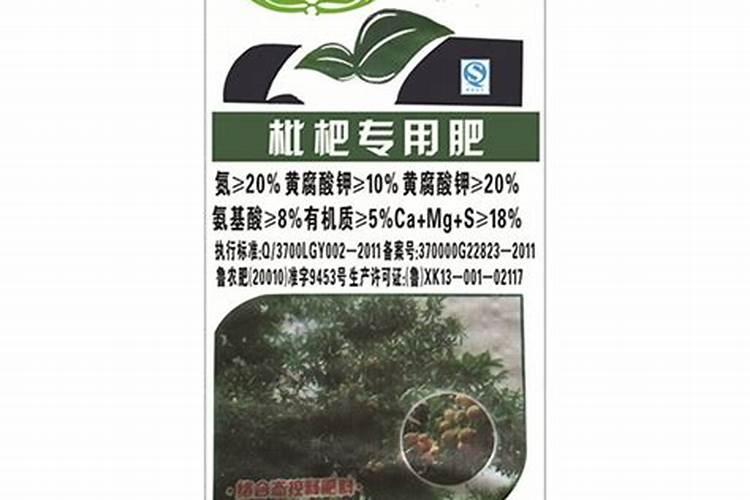 枇杷树釆完果后每颗树施多少要素,和磷肥？