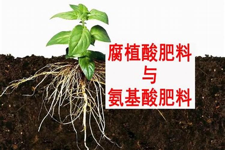 氨基酸肥和腐殖酸肥,哪种生根肥料效果好？