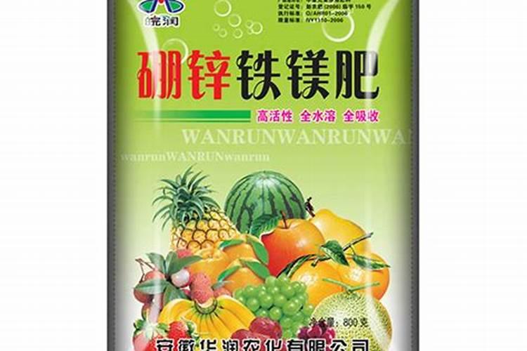 肇东最大的肉牛场在哪里