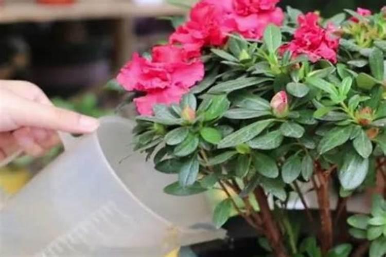 土豆焯水后钾含量多少