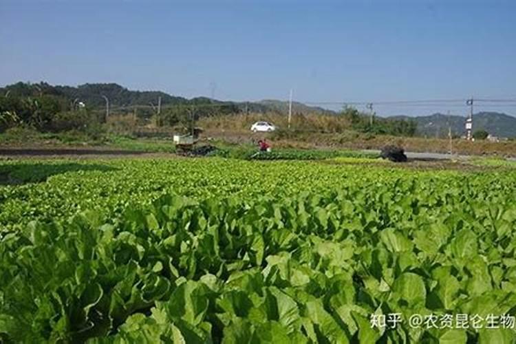 新疆六偏磷酸钠用量大不大