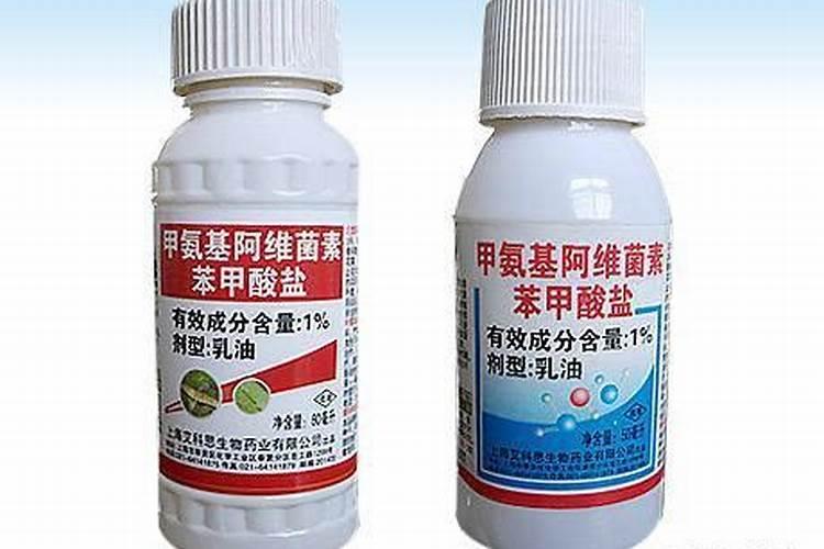 樱桃树苗多久发芽